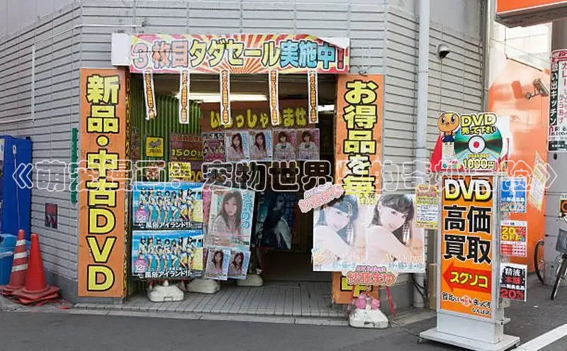 樱花动漫专注的门户网站-专注的门户